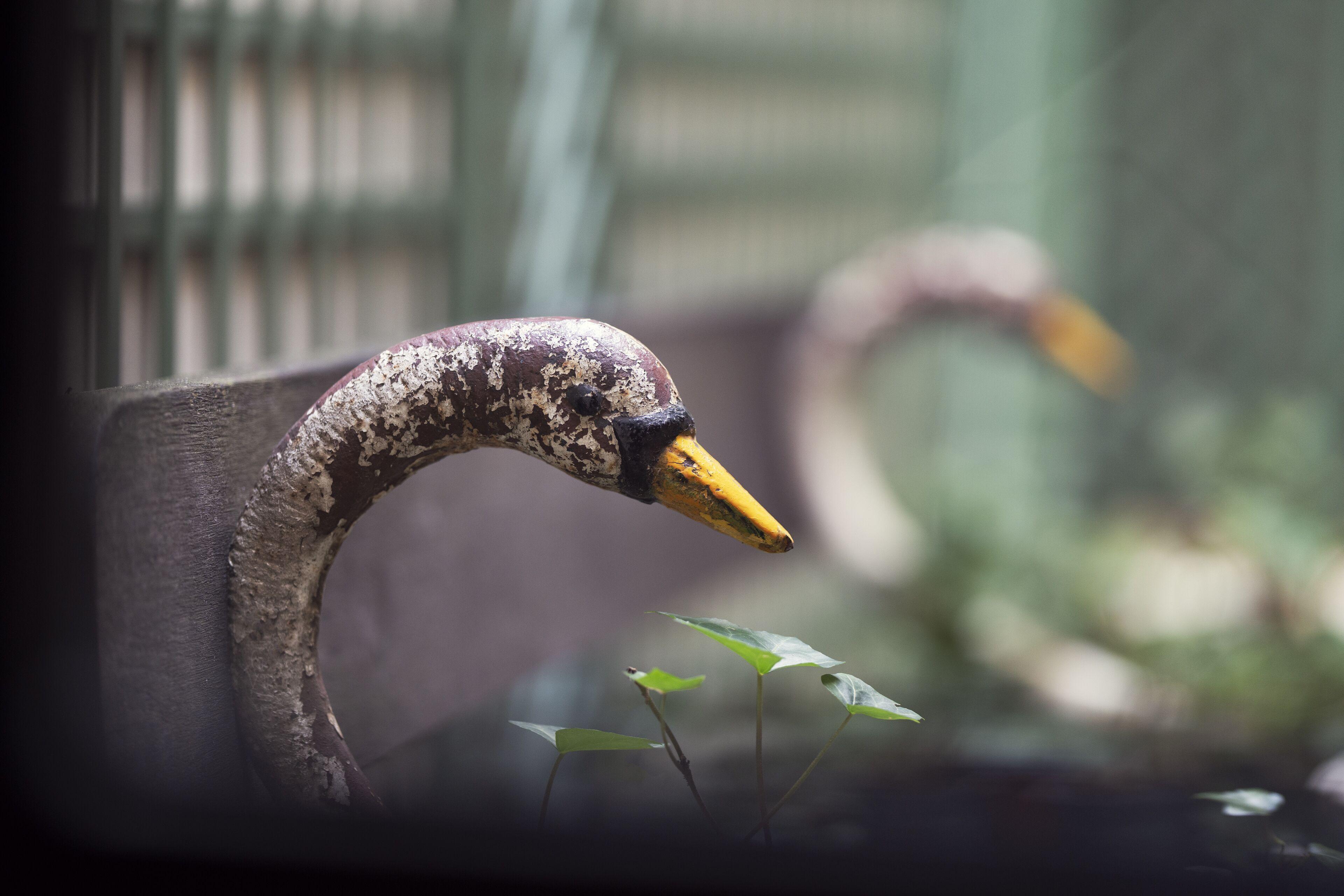 Maison Souquet, & Hotel Parigi